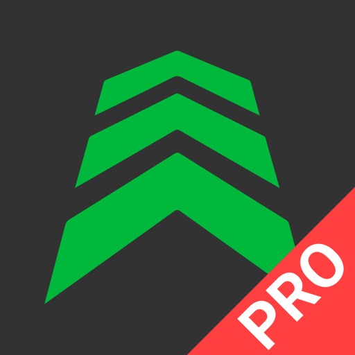 Blitzer De Pro IPA IOS logo